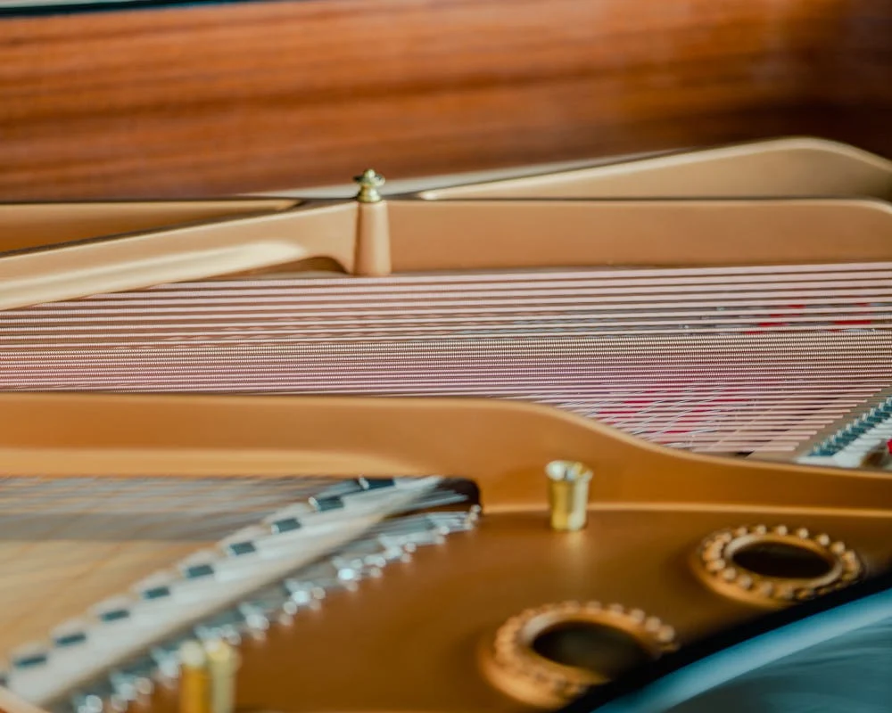 contact piano